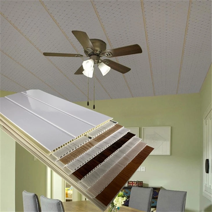 Οροφή για PVC Living Room PVC